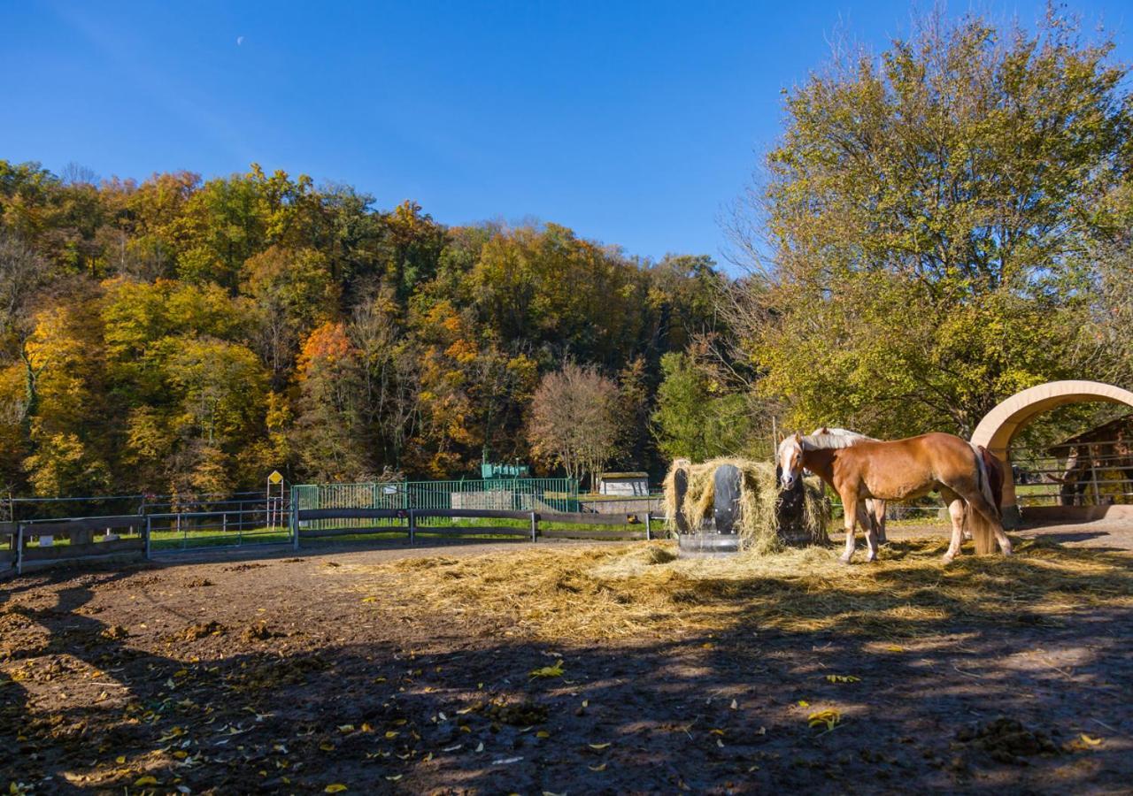 Hotel & Ferienwohnungen Bohlenblick Saalfeld Saale Buitenkant foto