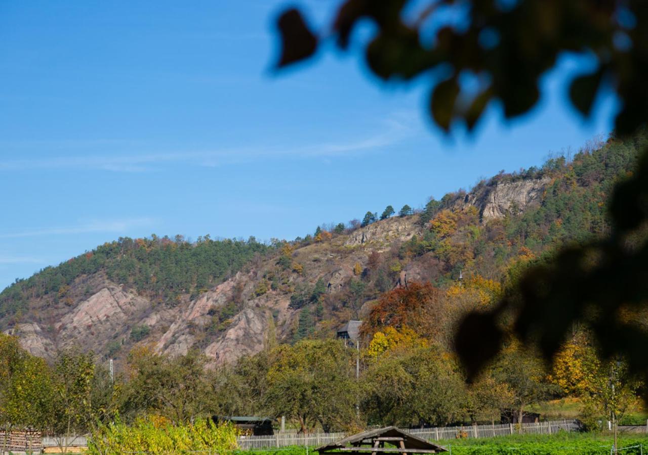 Hotel & Ferienwohnungen Bohlenblick Saalfeld Saale Buitenkant foto